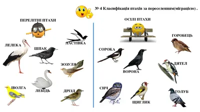 Идеи на тему «Птахи» (240) | природоведение, птицы, вышивка в виде птиц