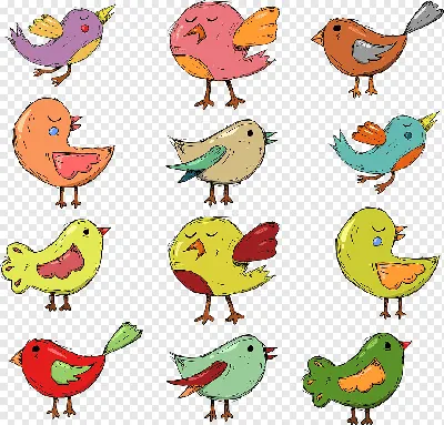 [81+] Картинки птиц для срисовки обои