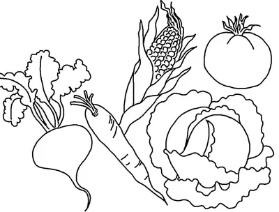 Раскраска овощи по цифрам. Скачать и распечатать