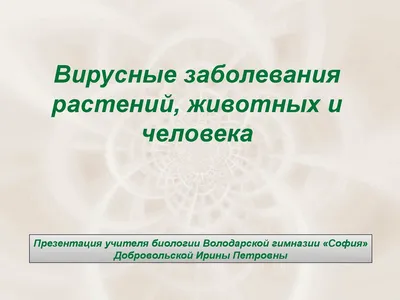 Красная книга: натуралисты из Новосибирска собрали информацию о редких  видах животных и растений - Recycle