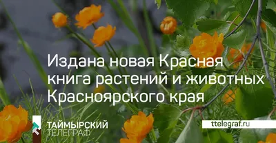 Рабочий лист «Многообразие и значение растений, животных и грибов»