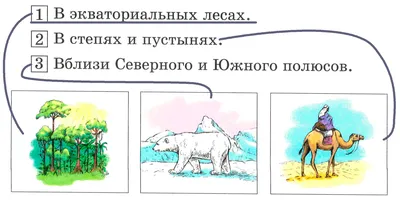 Смотреть диафильм Природные сообщества растений и животных