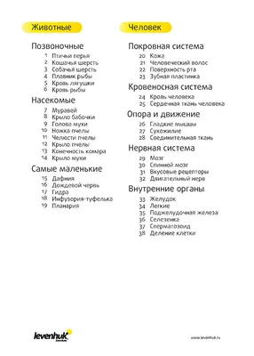 Д. Заполни таблицу Рассмотри схематичное изображение видов отражения.  Назови предметы, которые - Школьные Знания.com