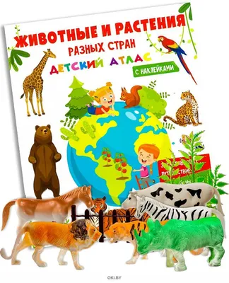 В Николаевском зоопарке снова есть альпака: его и других животных передали  из Дрогобыча | СВІДОК.info