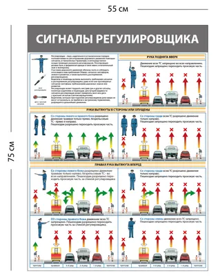 🤔Как запомнить знаки регулировщика? Попробуйте подойти к этому вопросу  творчески! 📌В интернете.. | ВКонтакте