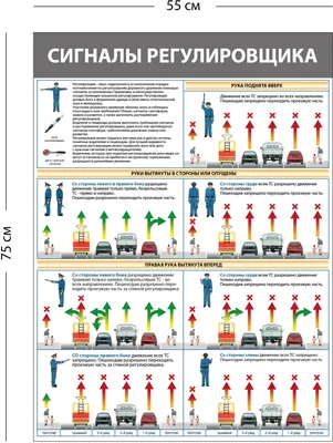 Стенд «Сигналы регулировщика» (1 плакат) - Купить в Москве