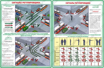 Сигналы регулировщика