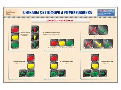 Как запомнить жесты регулировщика? | Автодор и T-pass | Дзен