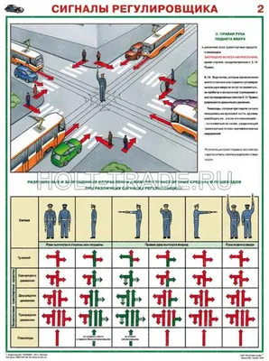 Сигналы регулировщика 👮 Сохраняйте и запоминайте ☝️ ⠀ Регулировщик —  явление довольно редкое, и часто внушающее страх участникам… | Instagram