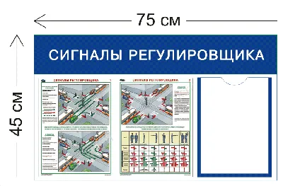 Работа водителем в Польше - Сигналы регулировщика – легко и просто  Регулировщик – явление на дороге довольно редкое, но часто внушающее страх  участникам движения. Дело в том, что именно ввиду «редкости» такого