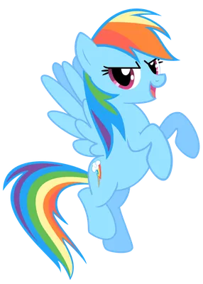 Rainbow Dash | Inconsistently Admirable Wiki | Fandom