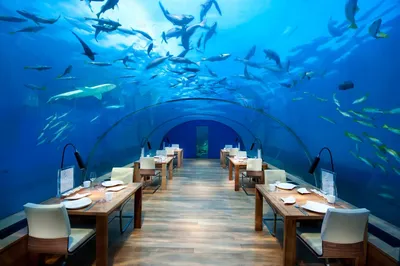 10 самых экзотических ресторанов мира