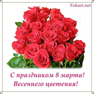 Обои на рабочий стол Красные розы на белом фоне и поздравление с 8 Марта,  обои для рабочего стола, скачать обои, обои бесплатно