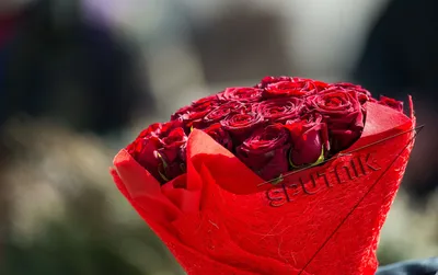 Фотографии 8 марта роза желтые Цветы Праздники 2560x1629