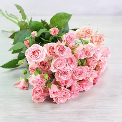 Красивый букет роз на 8 марта - купить с бесплатной доставкой 24/7 по Москве