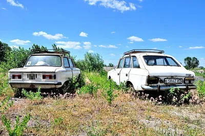 Русский автомобиль\": на \"Автоторе\" начнут выпускать кроссоверы BAIC -  Российская газета