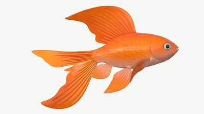Золотая рыбка мультфильм иллюстрации, мультфильм милая маленькая рыбка,  мультипликационный персонаж, морские млекопитающие, животные png | Klipartz