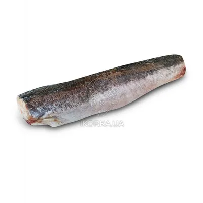 Рыба Хек | Пикабу