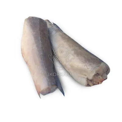 Аргентинский хек (Merluccius hubbsi) - sharkseafoods.com