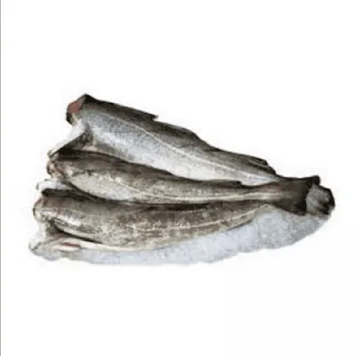 Аргентинский хек — Рыба — импорт из Аргентины