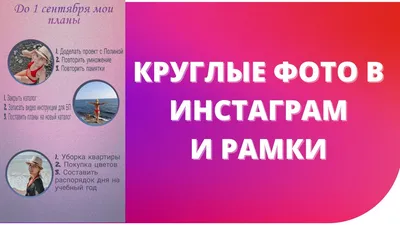 Купить капкейки на 1 сентября по цене 319 ₽ за 1 шт. в Москве с доставкой