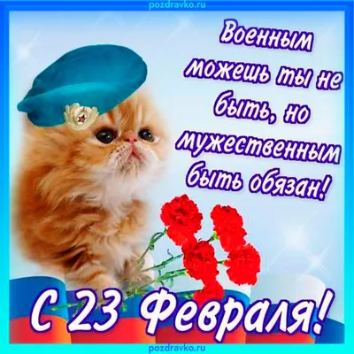 С 23 февраля Лётчику: открытки, поздравления, гифки, аудио от Путина по  именам