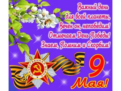 Картинки с 9 мая день победы