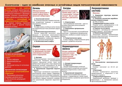 Американцы страдают от алкоголиков: как защитить себя и спасти зависимых |  Rubic.us