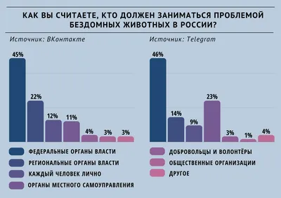 Жертвы укусов бездомных животных\": правила безопасности детей рядом с  собакой - SakhalinMedia.ru