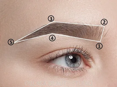Уход за бровями, цены на коррекцию и окрашивание хной, ламинирование и  Ботокс для бровей
