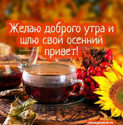 Открытка с Добрым утром и осенним приветом, с чашкой чая • Аудио от Путина,  голосовые, музыкальные