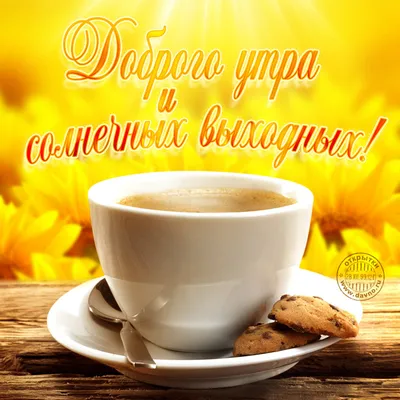Создать мем \"доброе утро чашка чая, открытки с добрым утром, картинки с добрым  утром и хорошего дня красивые модные\" - Картинки - Meme-arsenal.com
