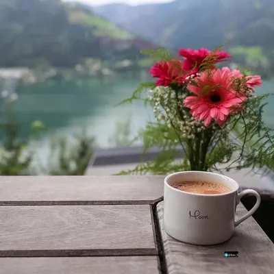 Осень кофе цветы - 60 фото