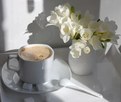 Чашка кофе с цветами. Концепция утренний кофе с мягким пурпурным цветок  ромашки орхидеи на фоне белой таблицы светлой. Стоковое Изображение -  изображение насчитывающей кофе, горяче: 214677179