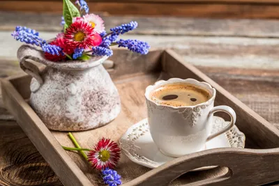 Поднос с чашкой кофе и весенними цветами на цветном фоне :: Стоковая  фотография :: Pixel-Shot Studio