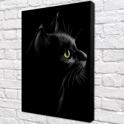 Глаза черной кошки - 75 фото