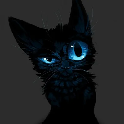 Питер Сис - Черная кошка: Описание произведения | Артхив