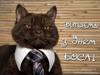 Яке сьогодні свято 16 жовтня — День боса — привітання, листівки з Днем шефа  / NV