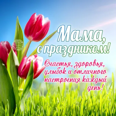 24 ноября в Центре татарской культуры состоится праздничная программа «День  матери» | Татары Сызрани