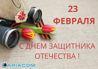 23 февраля — день настоящих мужчин. С праздником! | Новости | МФЦ г. Шахты  | Главная | МФЦ Портал