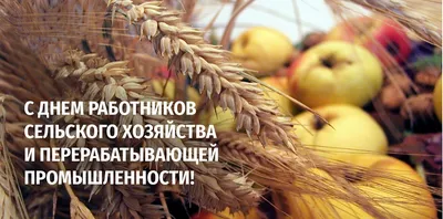 Поздравление с Днем работников сельского хозяйства и перерабатывающей  промышленности! | Администрация Муромского района