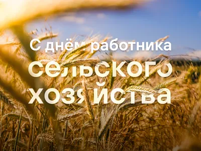 День работника сельского хозяйства и перерабатывающей промышленности! -  Группа компаний Капитал ПРОК