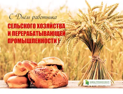 Сегодня в Казахстане отмечается День работников сельского хозяйства,  пищевой и перерабатывающей промышленности
