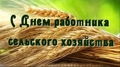 Поздравляем с Днем работника сельского хозяйства! - Новости - Югпром в  Ставрополе