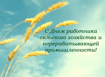 С праздником — Днем работника сельского хозяйства! — Якутский  научно-исследовательский институт сельского хозяйства имени М. Г. Сафронова