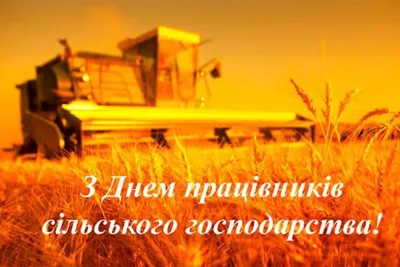 День работников сельского хозяйства и перерабатывающей промышленности РФ -  Группа компаний Капитал ПРОК