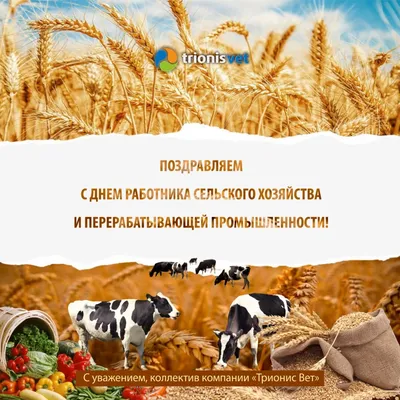 21 ноября – День работников сельского хозяйства и перерабатывающей  промышленности АПК