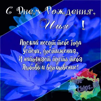 Подарить красивую открытку с днём рождения Илье онлайн - С любовью,  Mine-Chips.ru