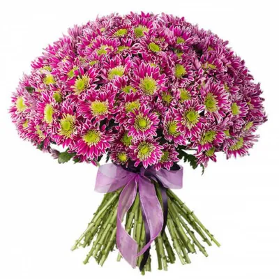 Купить букет из хризантем «Хризантемы кустовые» в Октябрьском - «Галерея  роз»