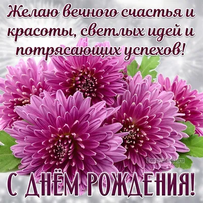 Фиолетовые кустовые хризантемы в коробке за 4 690 руб. | Бесплатная  доставка цветов по Москве